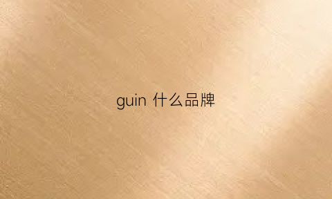 guin 什么品牌